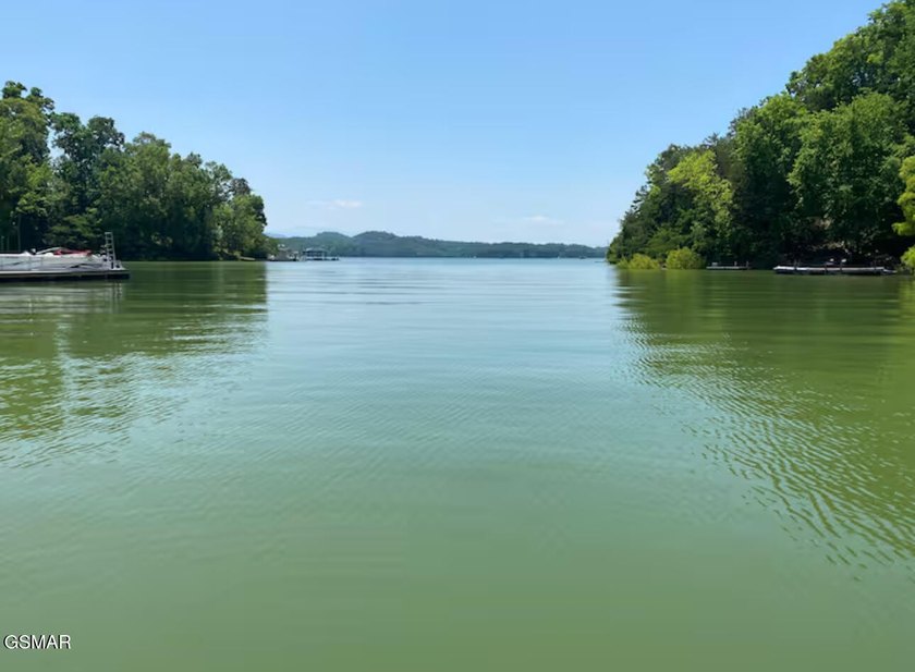 WOW FACTOR! ENJOY LAKEFRONT LIVING IN THIS BEAUTIFUL - photo 46
