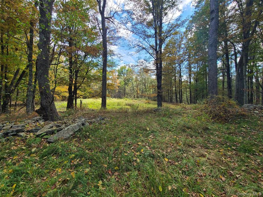 An exceptional opportunity in the heart of the Sullivan - photo 7
