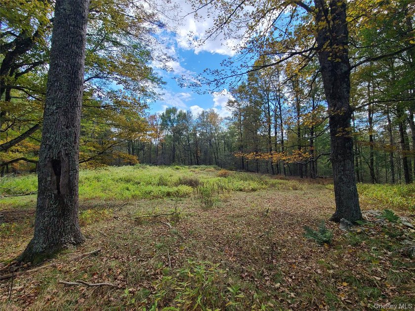 An exceptional opportunity in the heart of the Sullivan - photo 8