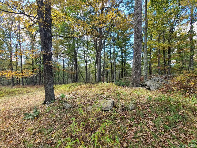 An exceptional opportunity in the heart of the Sullivan - photo 9