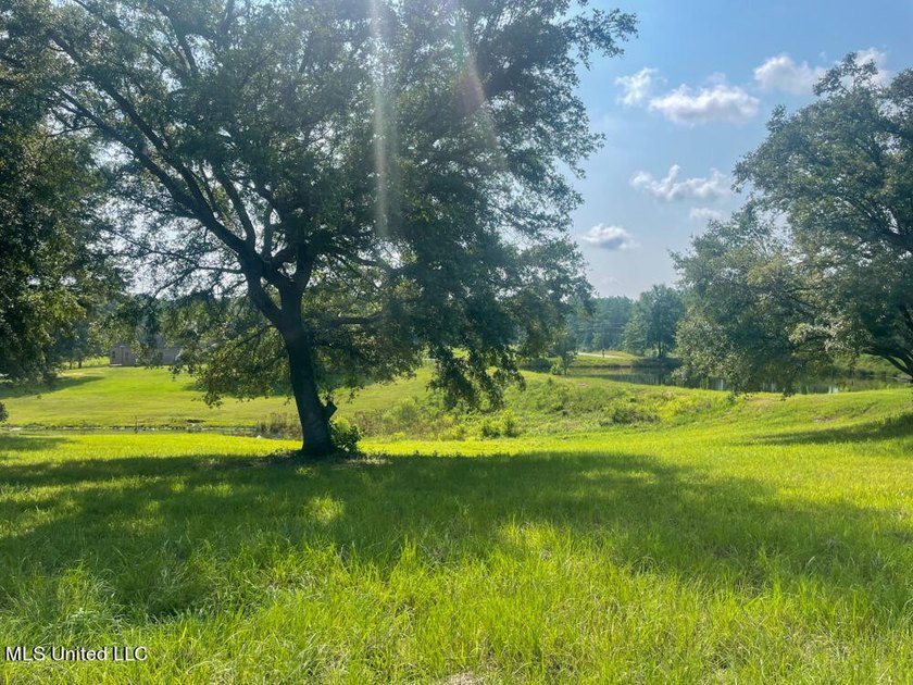 Lake front lots in a beautiful new Subdivision on Highway 63 - photo 17