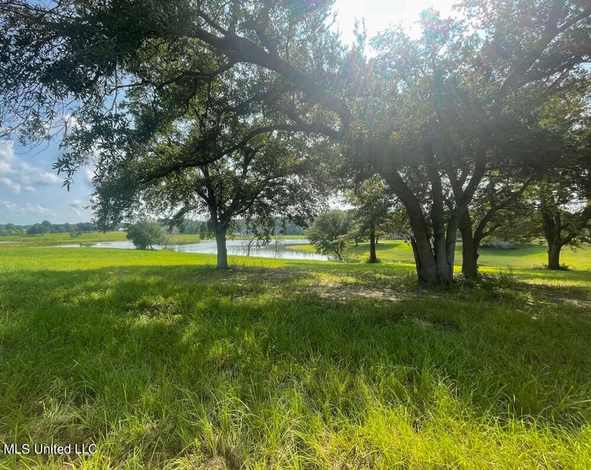 Lake front lots in a beautiful new Subdivision on Highway 63 - photo 19