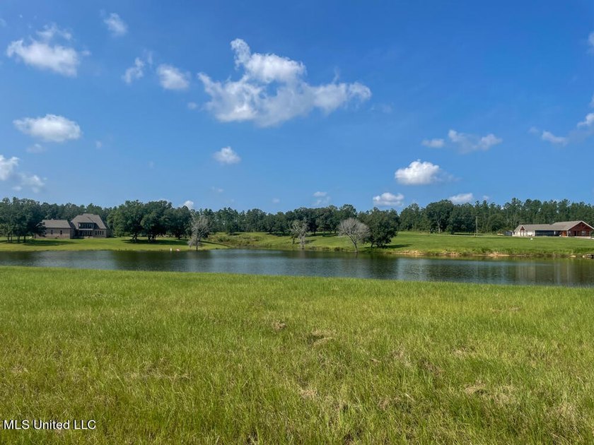 Lake front lots in a beautiful new Subdivision on Highway 63 - photo 49