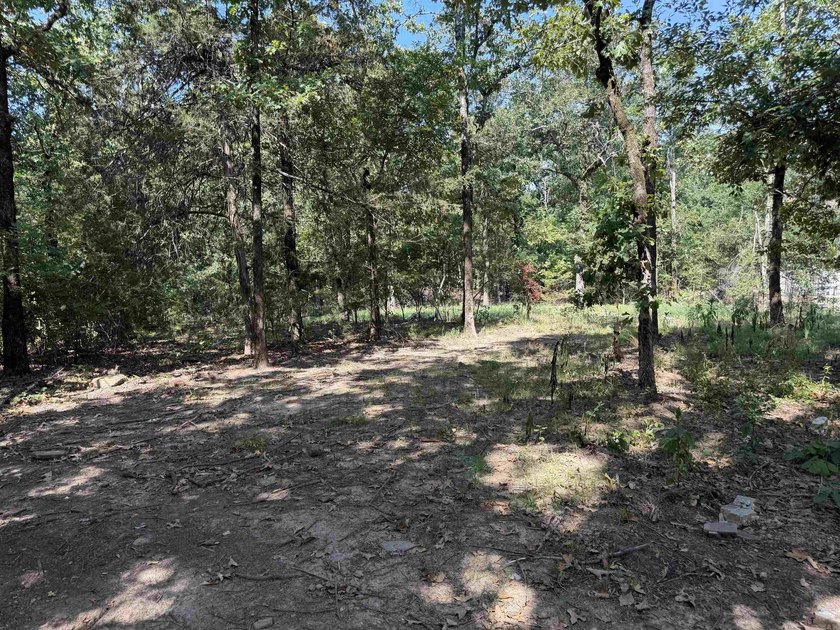 VACANT .50 ACRE LOT NO RESTRICITONS. READY FOR YOU TO BUILD A - photo 2