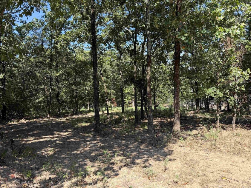 VACANT .50 ACRE LOT NO RESTRICITONS. READY FOR YOU TO BUILD A - photo 3
