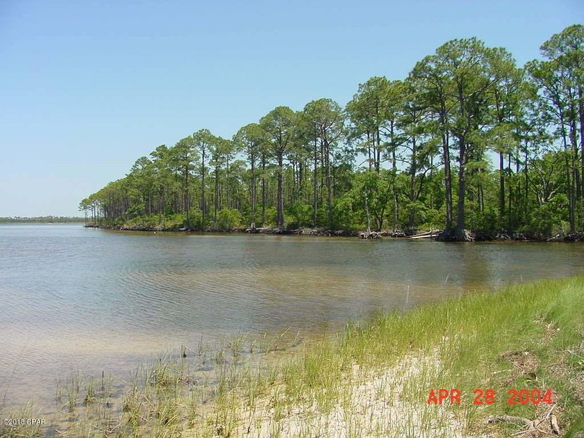 124 Acres on West Bay in Panama City Beach - ''The Oak Grove on - photo 4