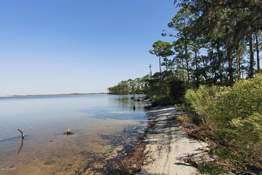 124 Acres on West Bay in Panama City Beach - ''The Oak Grove on - photo 6