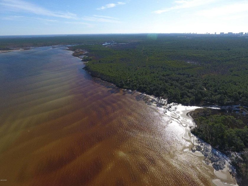 124 Acres on West Bay in Panama City Beach - ''The Oak Grove on - photo 7