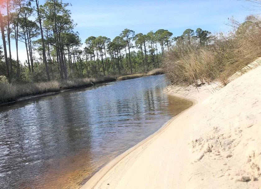124 Acres on West Bay in Panama City Beach - ''The Oak Grove on - photo 8