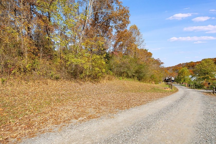 Enjoy the quiet beauty of Western North Carolina from this - photo 15
