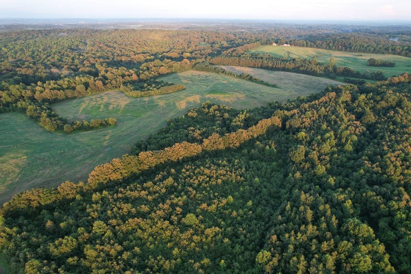If you've been searching for a premier Southern Illinois hunting - photo 21