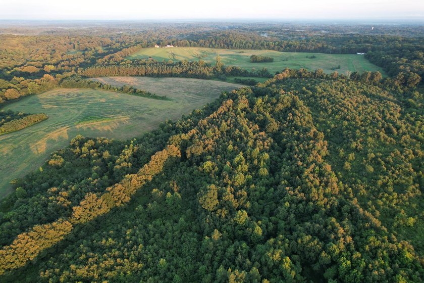 If you've been searching for a premier Southern Illinois hunting - photo 22