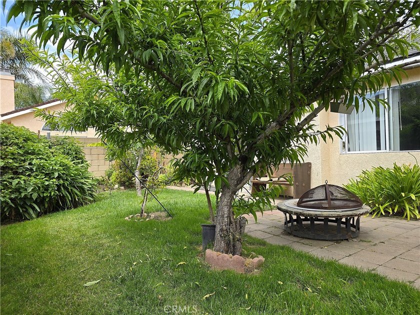 2303 Lexington - photo 25
