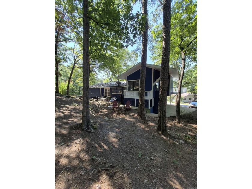 Lovely remodeled home. Seller will finance credit worthy buyer - photo 4