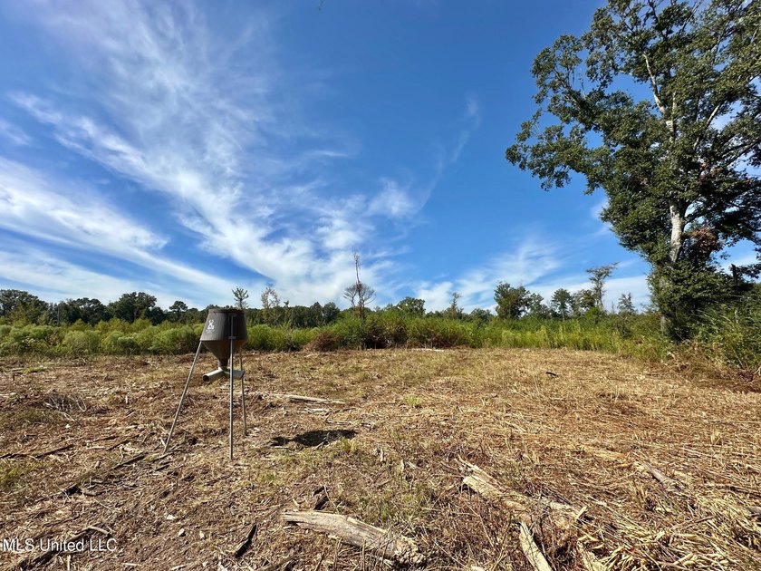 Tuscola Flats is a +/- 309 acre bottomland hunting tract located - photo 4