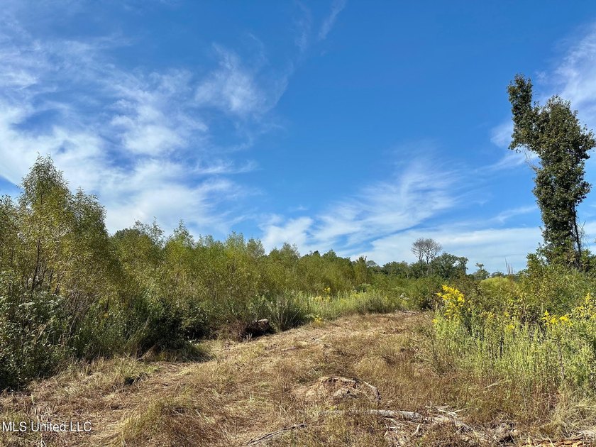 Tuscola Flats is a +/- 309 acre bottomland hunting tract located - photo 6