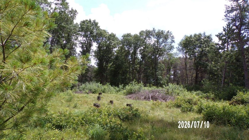 Lake Camelot Deeded Lake Access wooded parcel close to the - photo 3