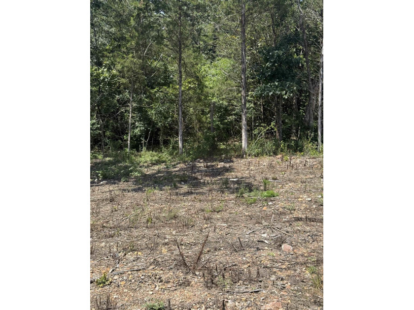 Prime building lot (Lot 29) overlooking the Norfork river, city - photo 3