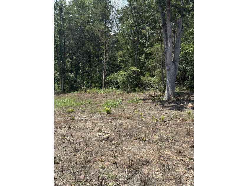 Prime building lot (Lot 29) overlooking the Norfork river, city - photo 4