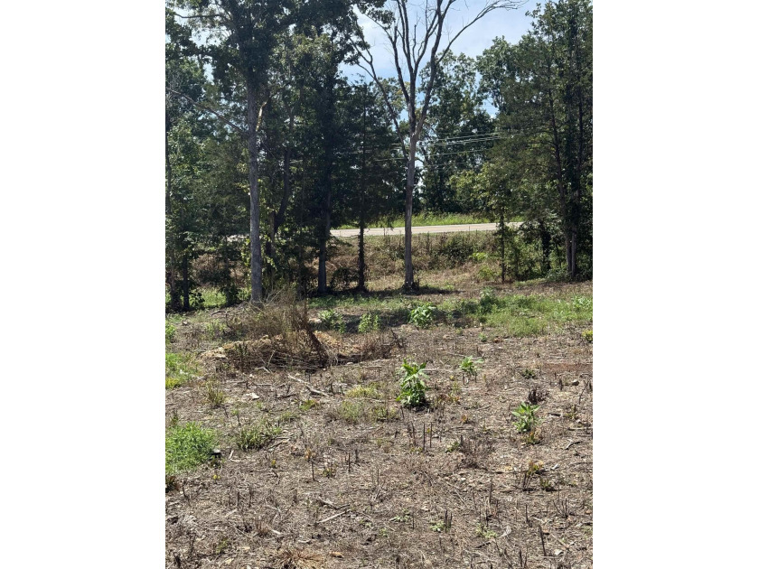 Prime building lot (Lot 29) overlooking the Norfork river, city - photo 5
