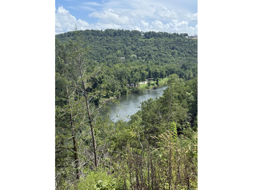 Prime building lot (Lot 29) overlooking the Norfork river, city - photo 6