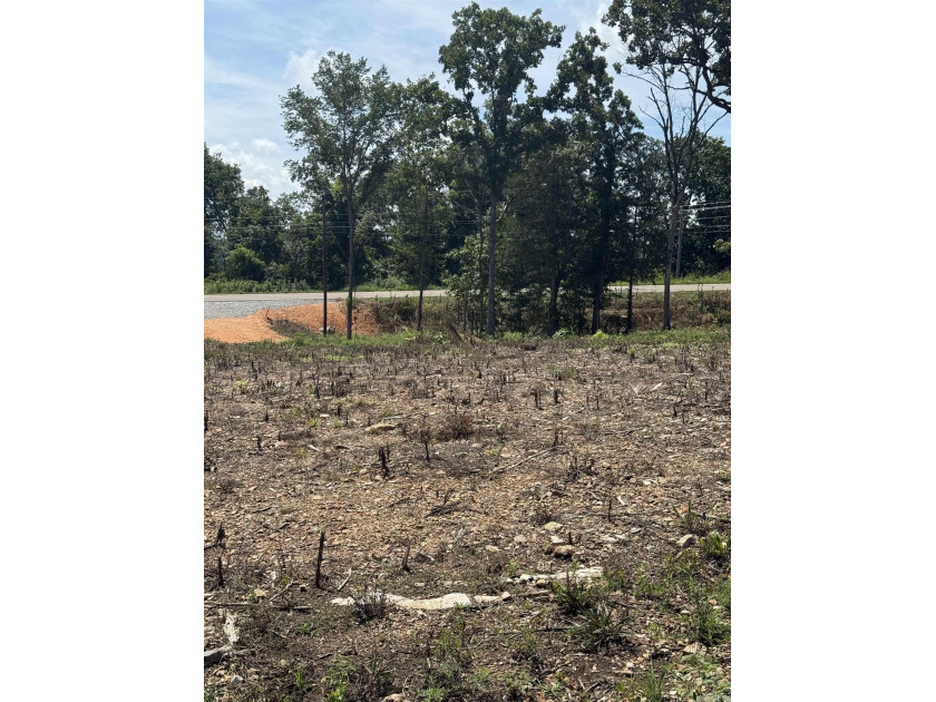 Prime building lot (Lot 29) overlooking the Norfork river, city - photo 7