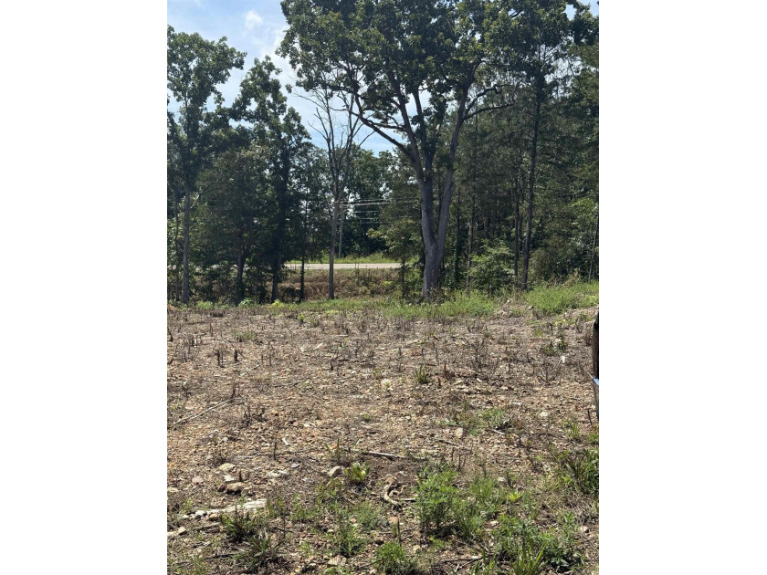 Prime building lot (Lot 29) overlooking the Norfork river, city - photo 8