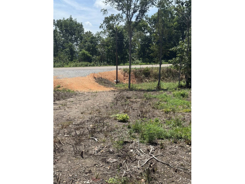 Prime building lot (Lot 29) overlooking the Norfork river, city - photo 10