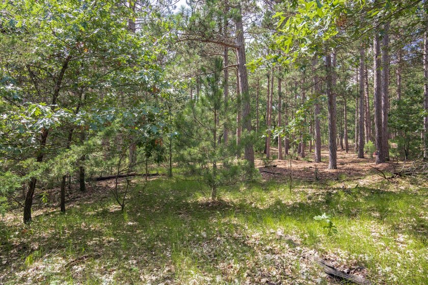 Build your Castle Rock Lake getaway on this 1.5-acre wooded lot - photo 5