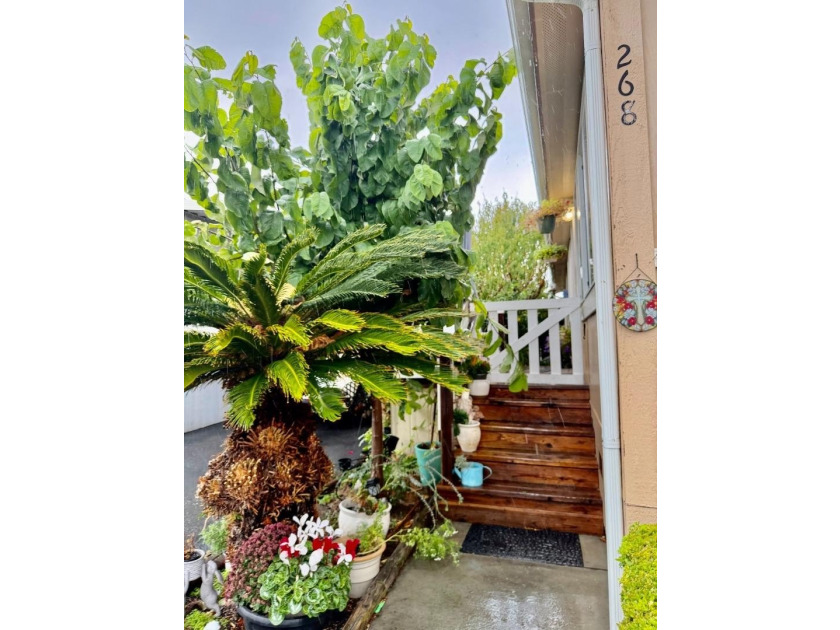 Welcome to this charming 3-bedroom, 2-bathroom home in the - photo 10
