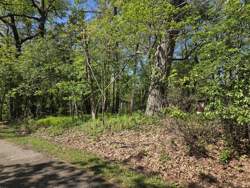 Wooded, oversized 160' x 100' lot with direct access to Como - photo 11