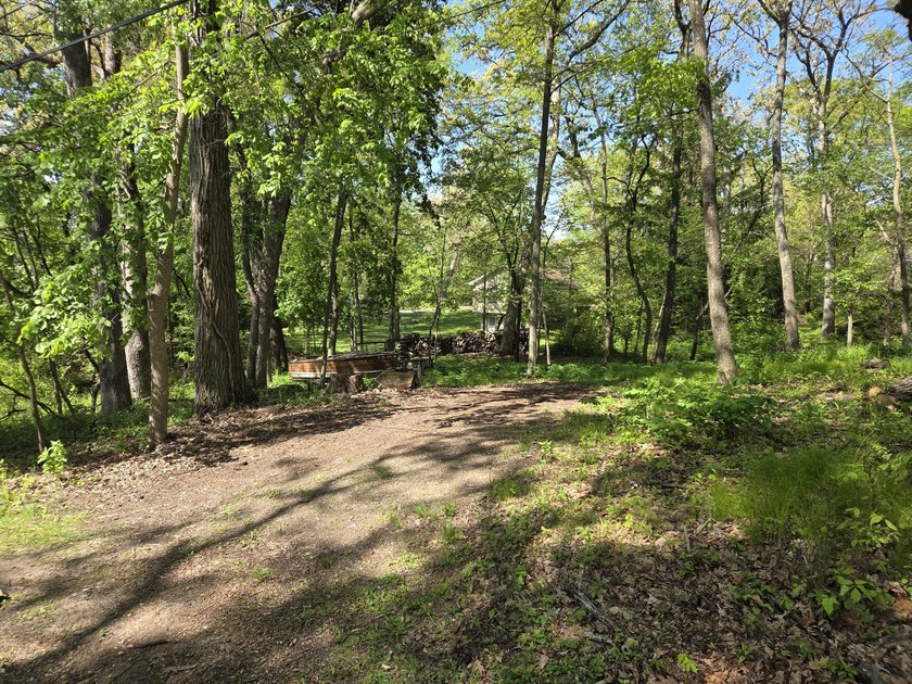 Wooded, oversized 160' x 100' lot with direct access to Como - photo 13
