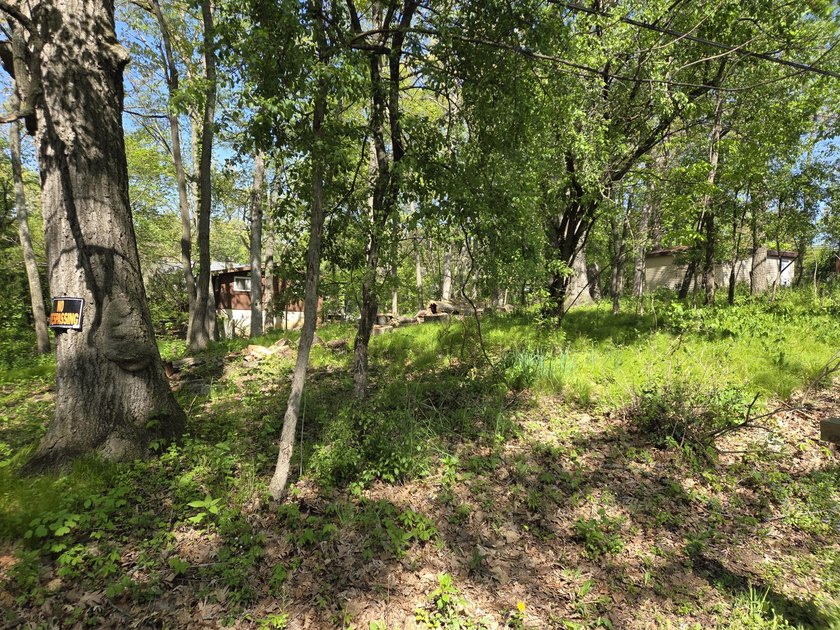 Wooded, oversized 160' x 100' lot with direct access to Como - photo 14
