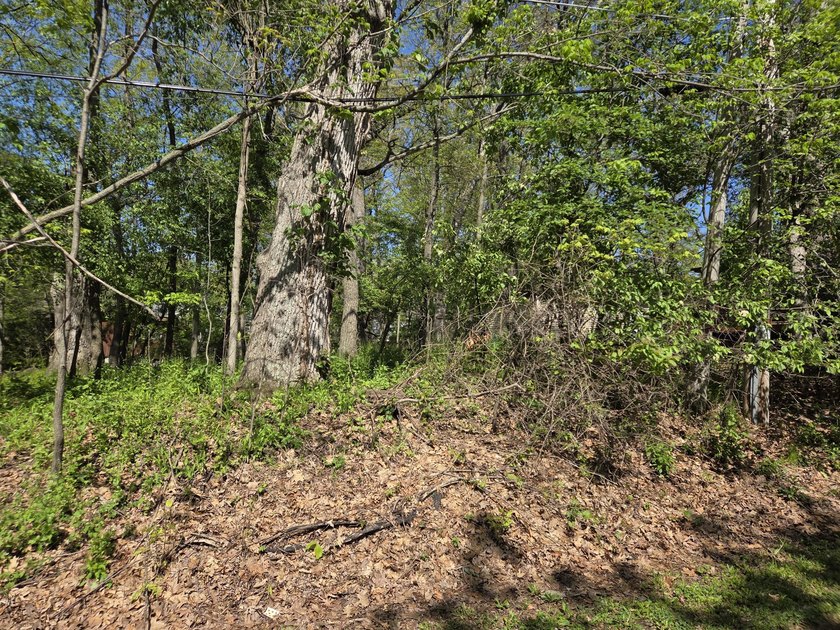 Wooded, oversized 160' x 100' lot with direct access to Como - photo 15