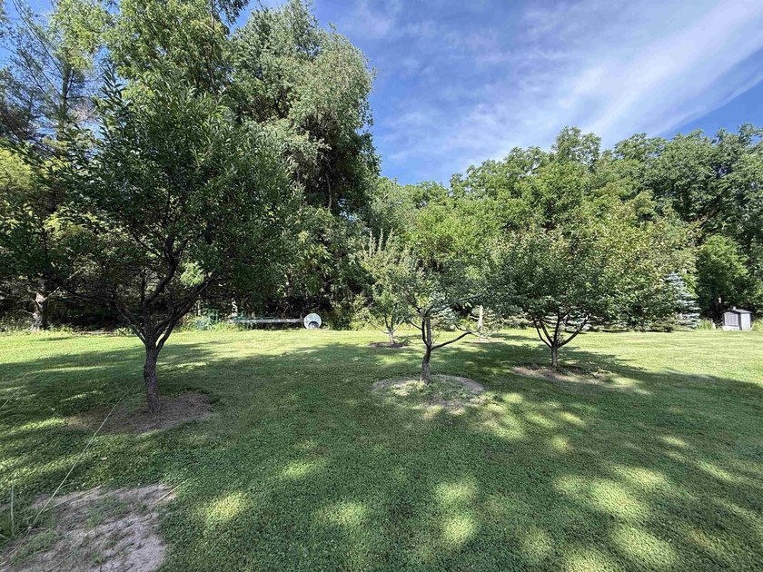 Beautiful rural 4 bedroom home! 2.38 wooded private acres not - photo 7