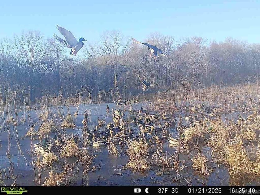R &amp; R Waterfowl Farms is a premier 192.76 surveyed acre - photo 2