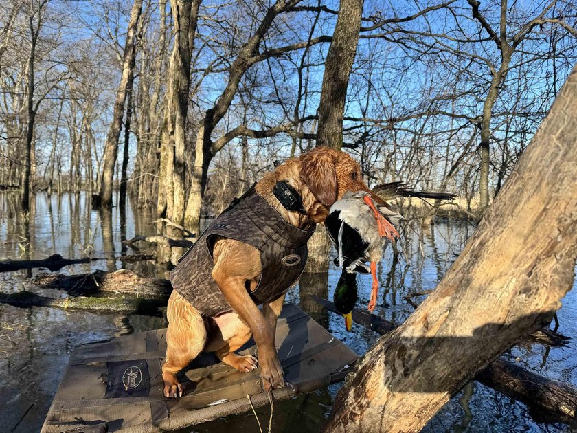 R &amp; R Waterfowl Farms is a premier 192.76 surveyed acre - photo 7