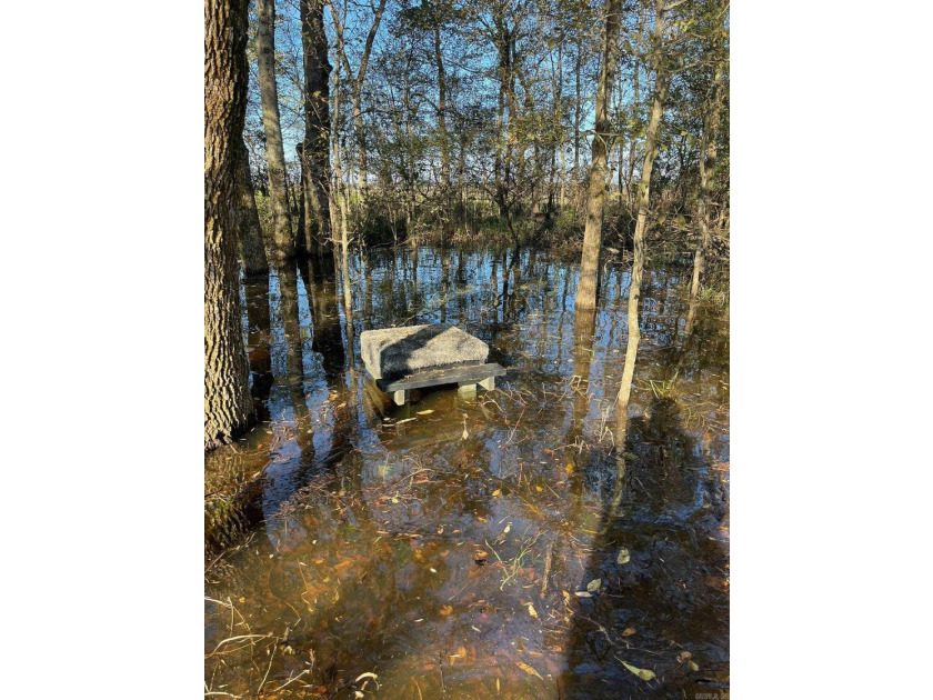 R &amp; R Waterfowl Farms is a premier 192.76 surveyed acre - photo 8