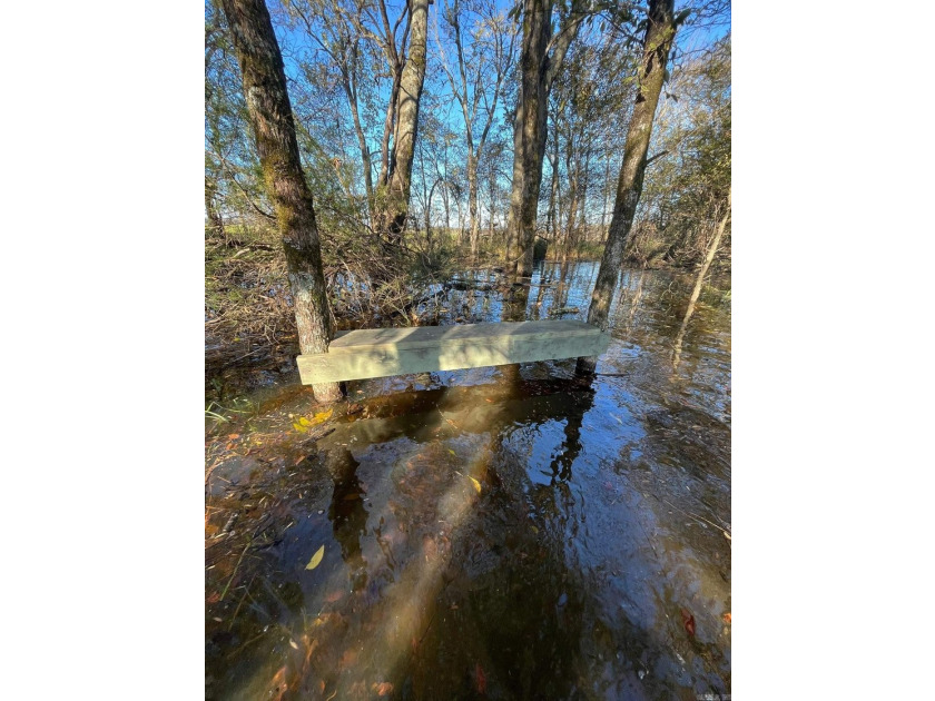 R &amp; R Waterfowl Farms is a premier 192.76 surveyed acre - photo 9
