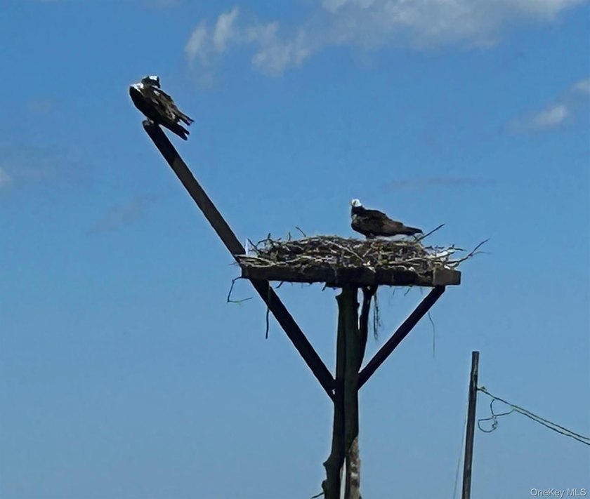 Perfectly sited on a protected inlet on West Lake, with direct - photo 32