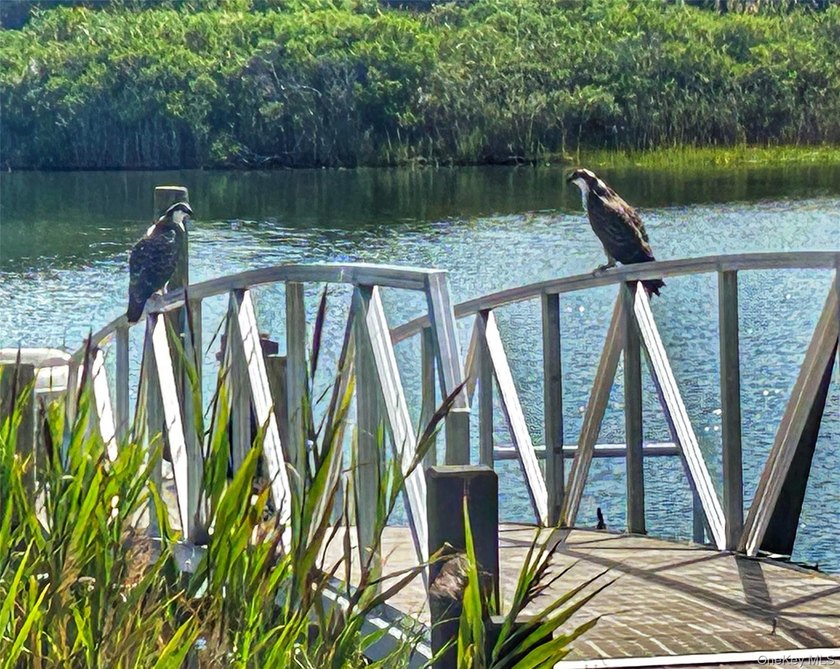 Perfectly sited on a protected inlet on West Lake, with direct - photo 33
