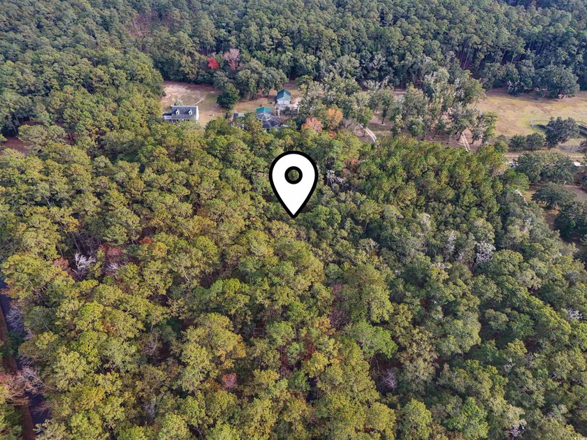 Rare opportunity to own 1 acre in Georgetown with Residential - photo 6