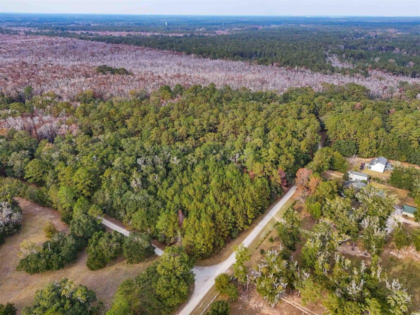 Rare opportunity to own 1 acre in Georgetown with Residential - photo 9