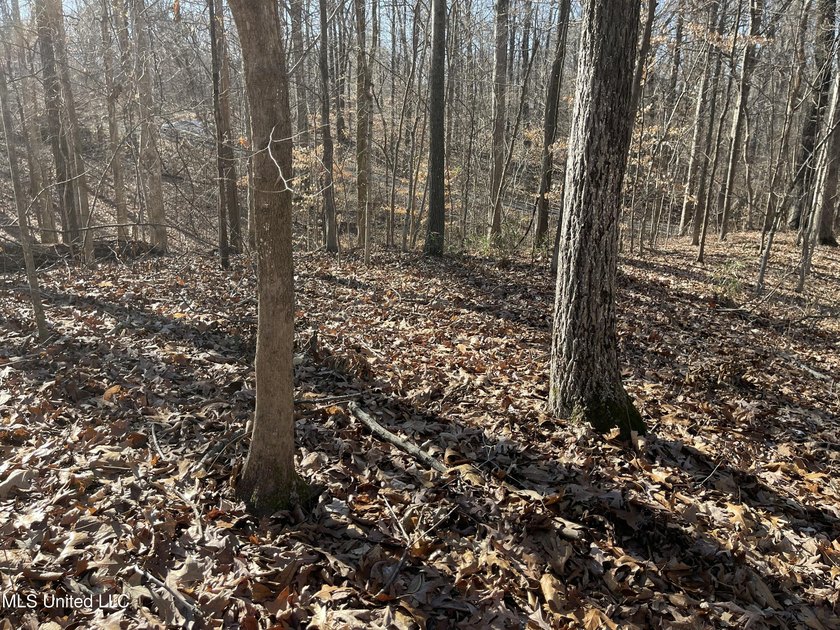 ATTENTION BUYERS: BUILD HERE! Corner Lot in well established - photo 2