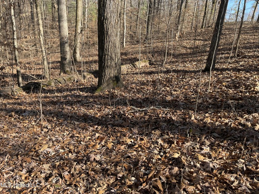 ATTENTION BUYERS: BUILD HERE! Corner Lot in well established - photo 3