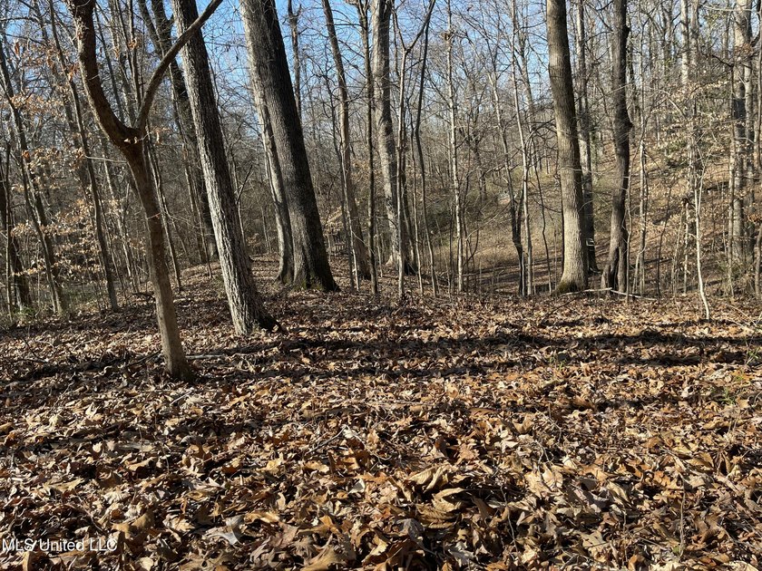 ATTENTION BUYERS: BUILD HERE! Corner Lot in well established - photo 4