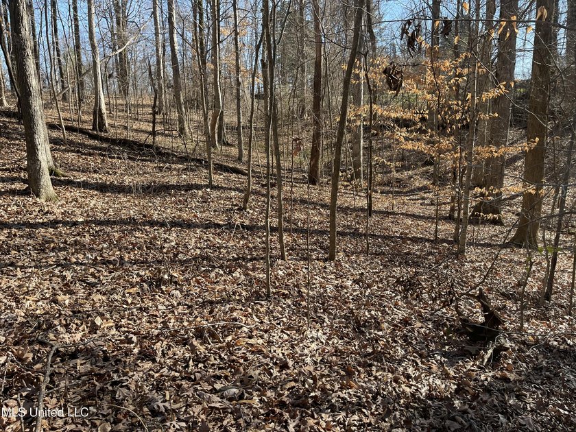 ATTENTION BUYERS: BUILD HERE! Corner Lot in well established - photo 5