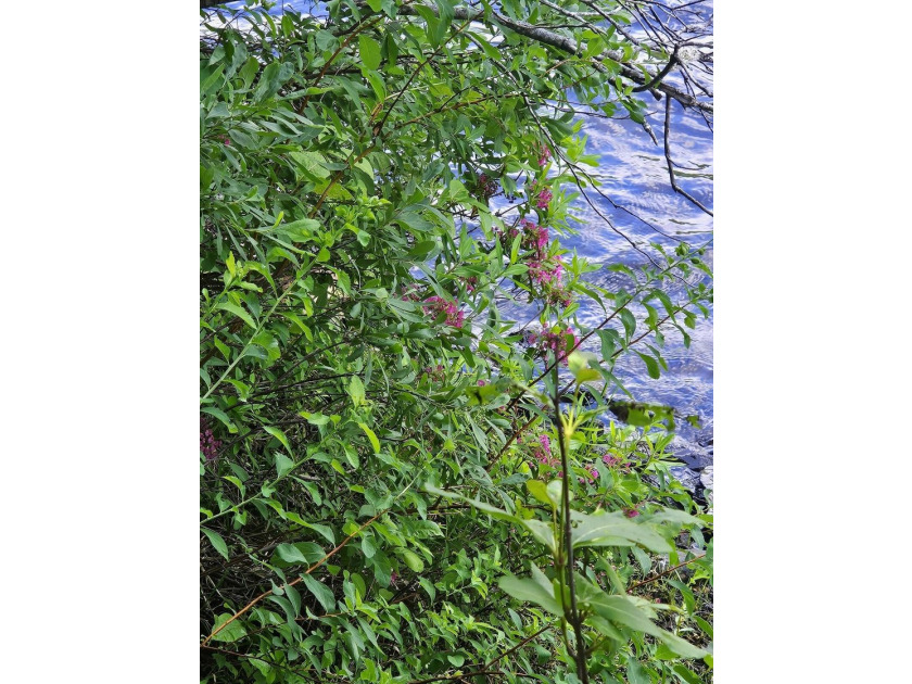 SANDY RIVER PONDS - Privately located on 3/4 of an acre with - photo 22