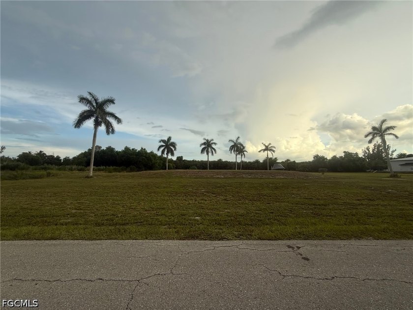 Imagine building your custom dream home on this exceptional 1 - photo 5