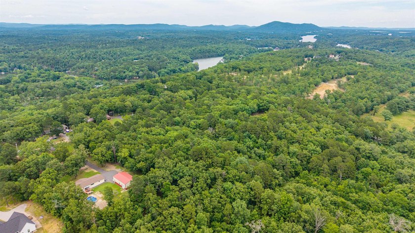 Wooded 5.39+/- acres ready for your dream home in a quiet - photo 16